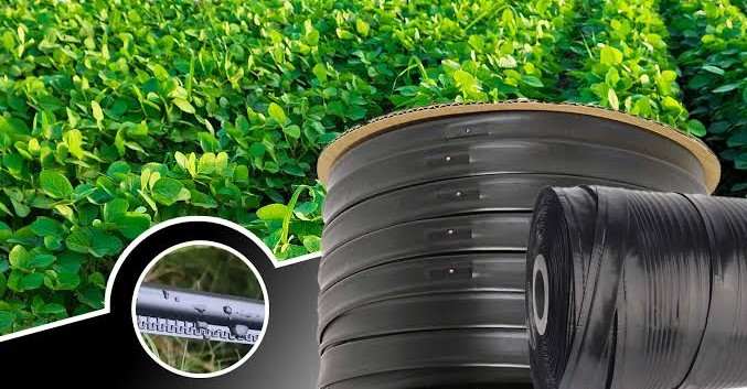 نوار آبیاری قطره ای پلاک دار مقاوم برای کشت های حرفه ای